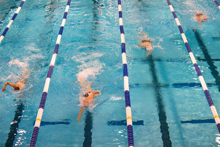 מאמני שחייה